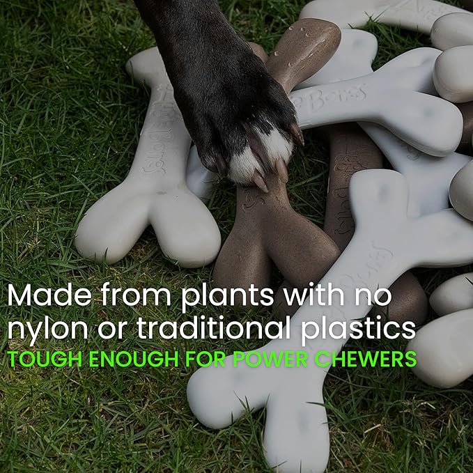 2-Pack Non-Toxic Dog Toys - Sustainable Roasted Peanut Butter Flavored Dog Chew Toys for Aggressive Chewers - Plant-Based Bioplastic Pet Toys - Made in The USA (Mighty)
