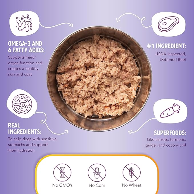 Health Extension Wet Dog Food Beef & Carrot Entrée in Gravy, 9 oz - Digestive Support with Superfoods & Antioxidants for Immune Support (Case of 12 Cans)