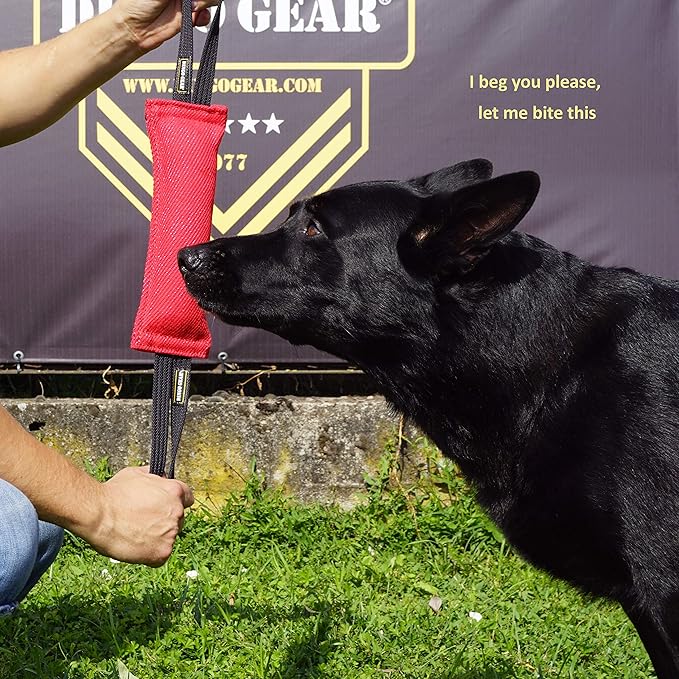 Dingo Gear French Linen tug Toy for Dog, Dog Bumper for Training, Agility, tug of war, Dog bite Pillow for Strong Dog, 2handles 18" red S00068