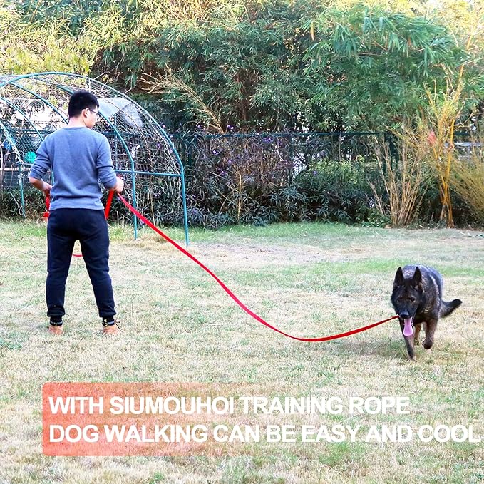 Dog/Puppy Obedience Recall Training Agility Lead - 15ft 20ft 30ft 40ft 50ft Training Leash - Great for Play, Camping, or Backyard - Blue 15ft (15Feet, Blue)