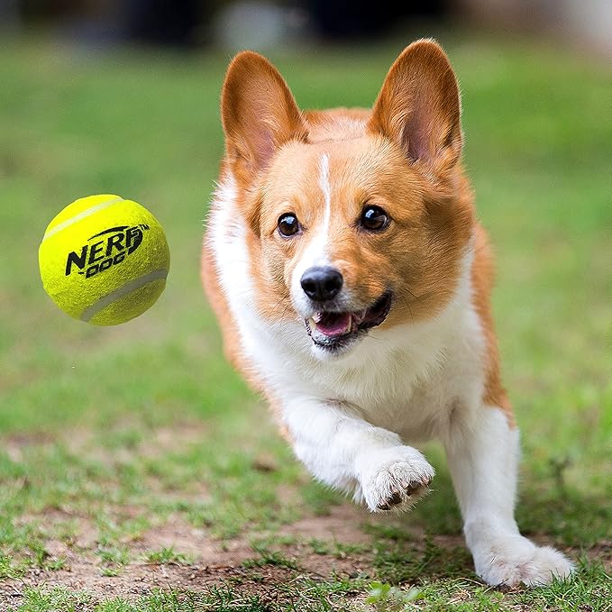 Nerf Dog Tennis Ball Blaster Dog Toy