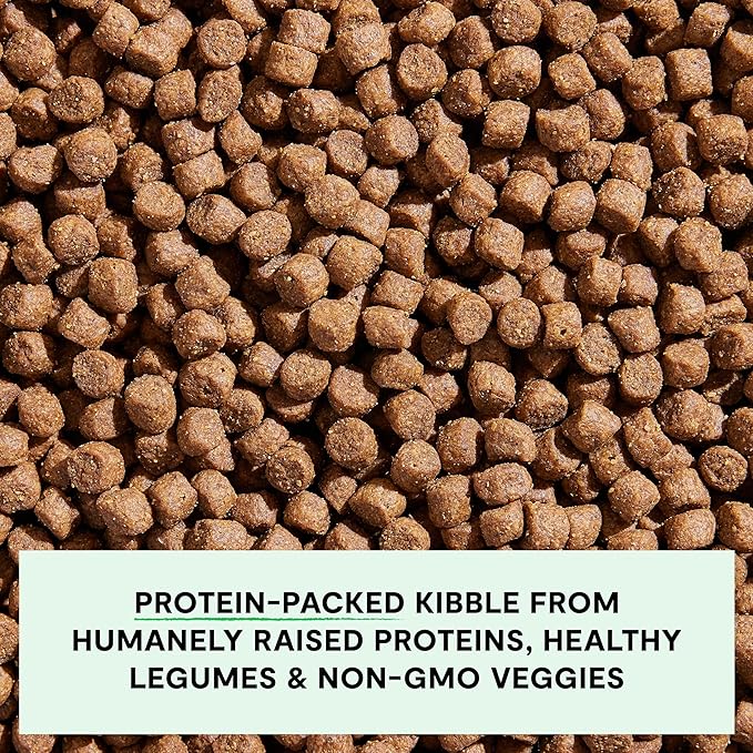 Open Farm, Grain-Free Dry Dog Food for Small Breeds, High-Protein Kibble, Sustainably & Ethically Sourced Ingredients, Non-GMO Veggies & Superfoods, Chicken & Turkey Recipe for Small Dogs, 4lb Bag